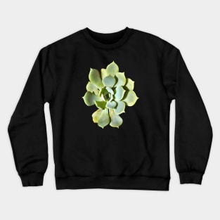 Succulent Echeveria Garden Plant Cut Out Crewneck Sweatshirt